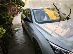 Dongfeng Shine